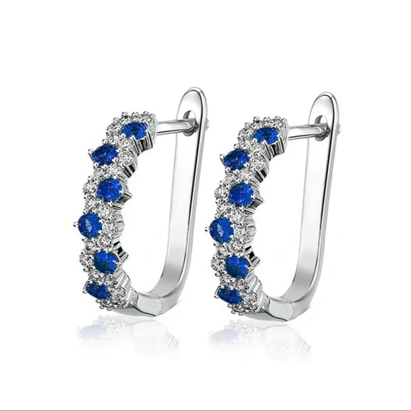 Blue & Silver Crystal Lever-back Locking Earrings - Picture 3 of 4